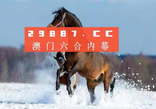 ＂澳门一肖一码一一特一中＂的：实地研究解答协助_专业版5.47