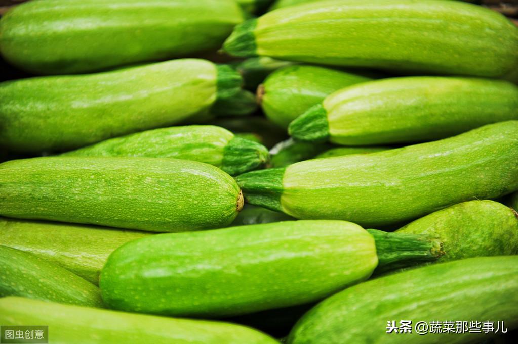 西葫芦最新价格行情，小巷深处的惊喜探秘之旅