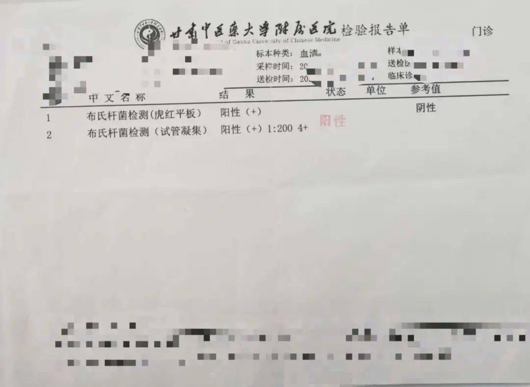 达雅高最新报告单图片解读与要点分析，专业分析与解读的指南
