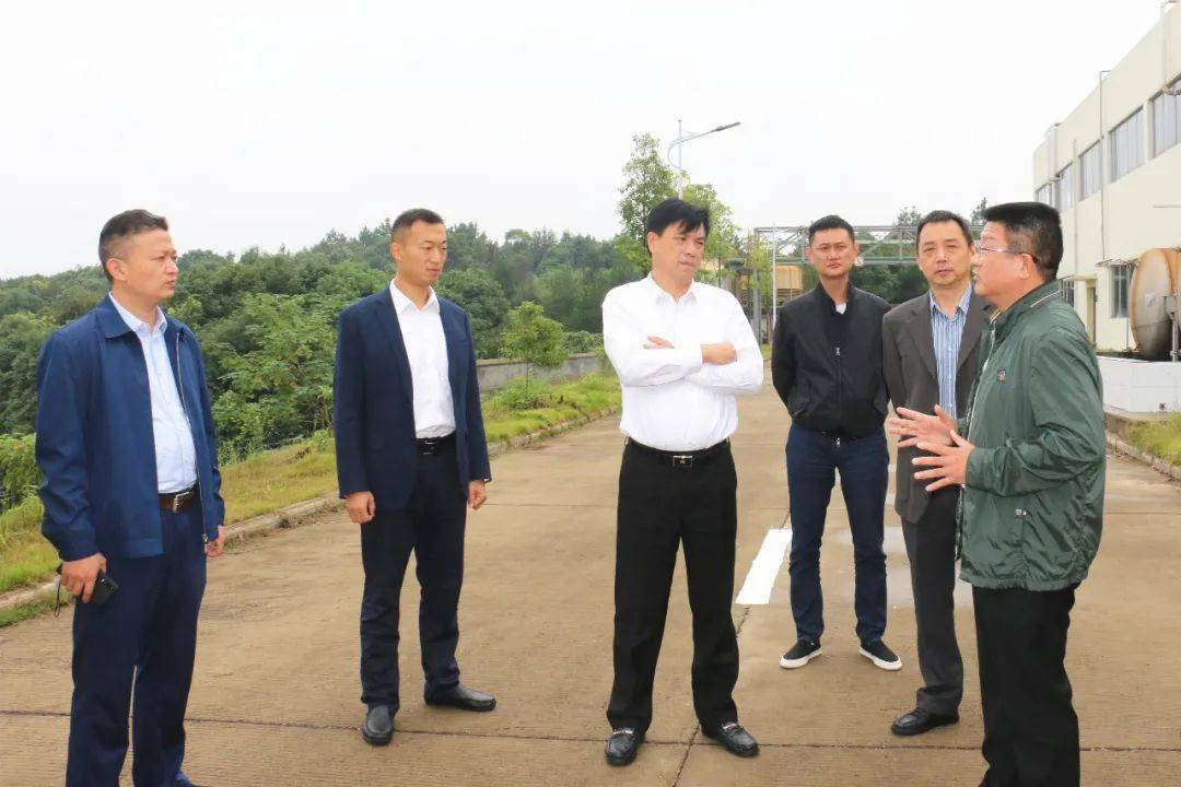岳阳王小中最新动态更新🌟