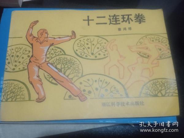 最新连环拳技术革新及实战应用探索
