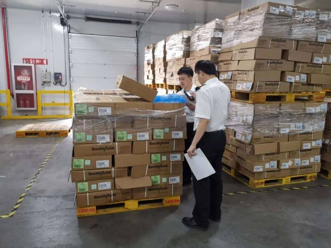 最新查验批，背景、事件、影响与地位全面解析