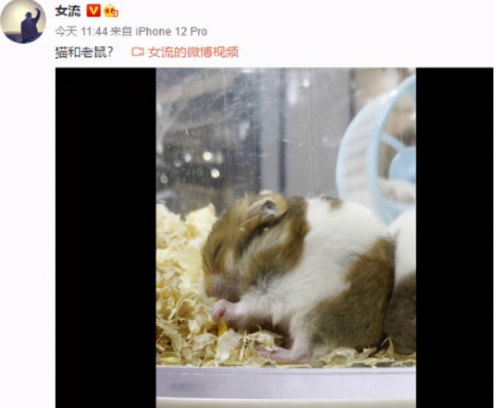 女流最新动态，引领科技潮流的高科技产品详解