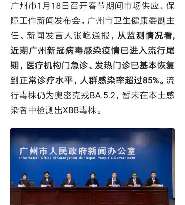 国际疫情最新动态及获取理解疫情动态的步骤指南