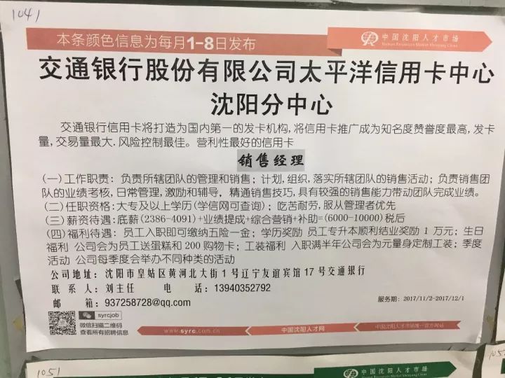 沈阳最新招聘信息概览，最新职位与招聘动态更新