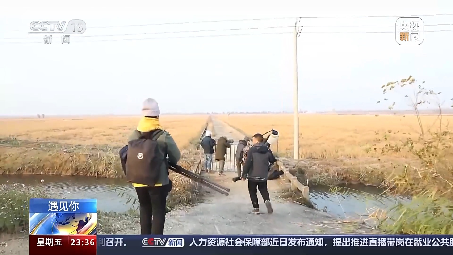 最新鸟哥揭秘鸟类世界奥秘