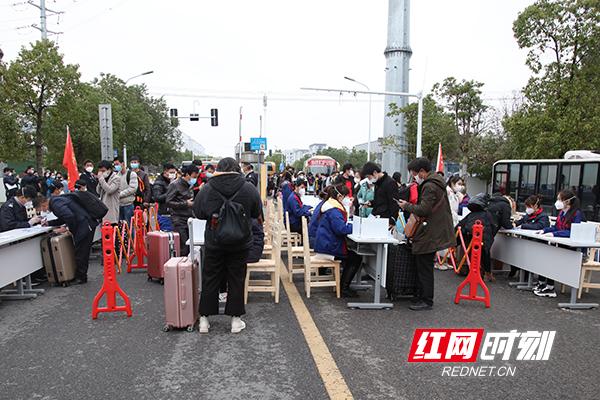 浏阳最新招聘热点与观点深度解读