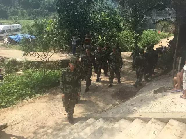 广西地震最新动态，全面解读与案例分析