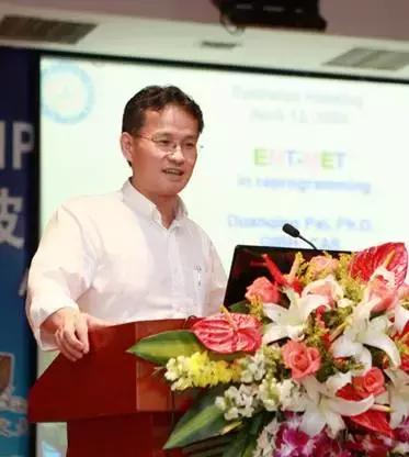 裴端卿最新动态，时代印记与领域领航者的新进展