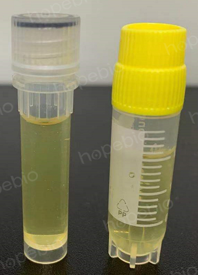 科技重塑生命之源，最新型液体菌种培养器开启培育新纪元